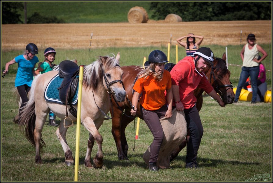 Mounted Games 305